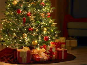 Christmas-Trees-002